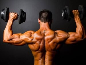 Alat Gym2: Panduan Lengkap Memilih Peralatan Fitness untuk Pemula